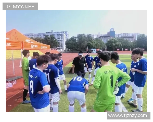 足球明星们的精彩瞬间拼接合照展现球场魅力与团队精神