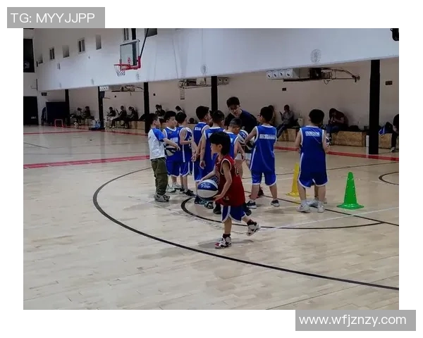 东方启明星篮球评价分析与发展潜力探讨及未来展望